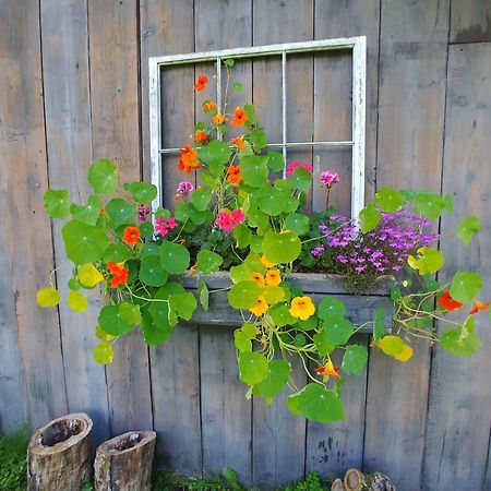 Spacious Country Retreat Close To Town And Nature, Sylvana Farm Vt Montpelier Luaran gambar