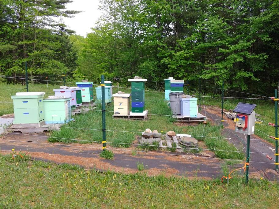Spacious Country Retreat Close To Town And Nature, Sylvana Farm Vt Montpelier Luaran gambar