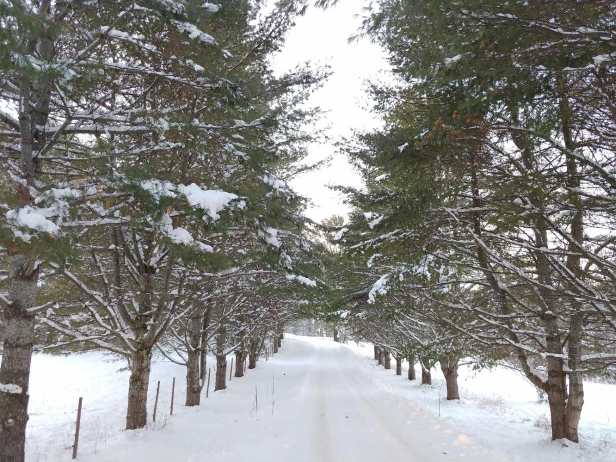 Spacious Country Retreat Close To Town And Nature, Sylvana Farm Vt Montpelier Luaran gambar