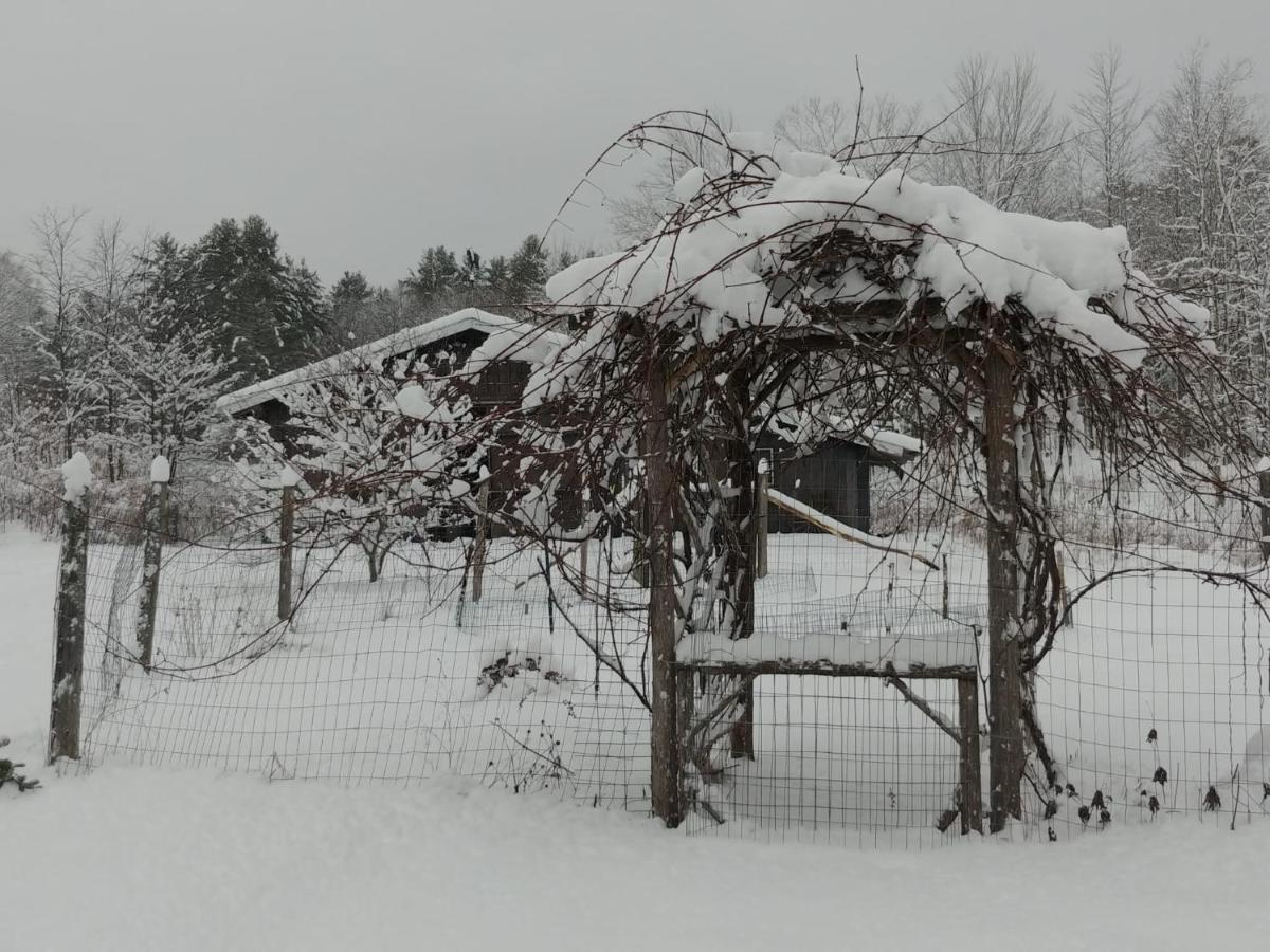 Spacious Country Retreat Close To Town And Nature, Sylvana Farm Vt Montpelier Luaran gambar
