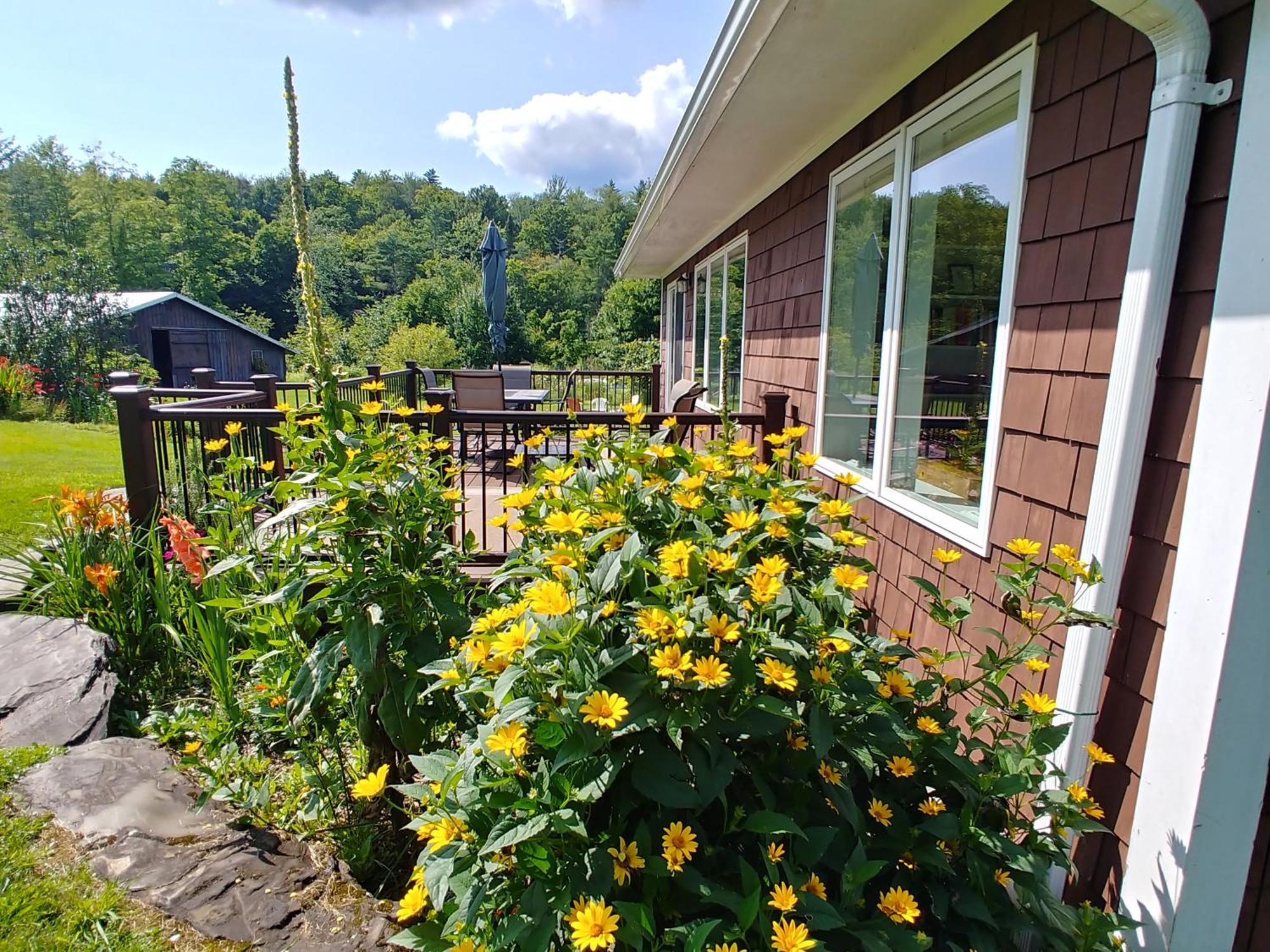 Spacious Country Retreat Close To Town And Nature, Sylvana Farm Vt Montpelier Luaran gambar