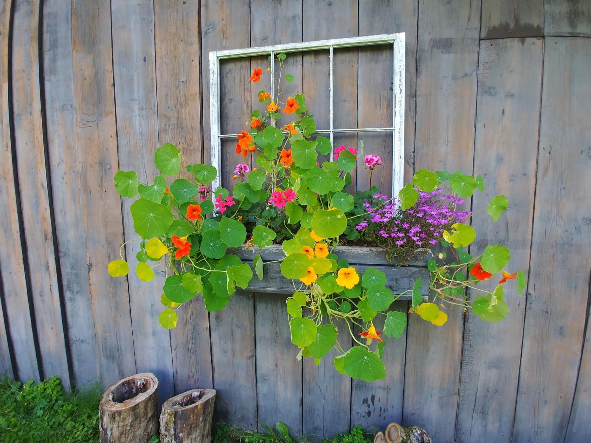Spacious Country Retreat Close To Town And Nature, Sylvana Farm Vt Montpelier Luaran gambar